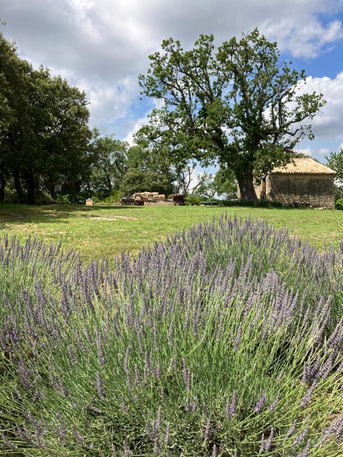 La Bastide Des Roman Vila Vernegues Exterior foto